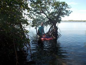 Indian River Lagoon Samples