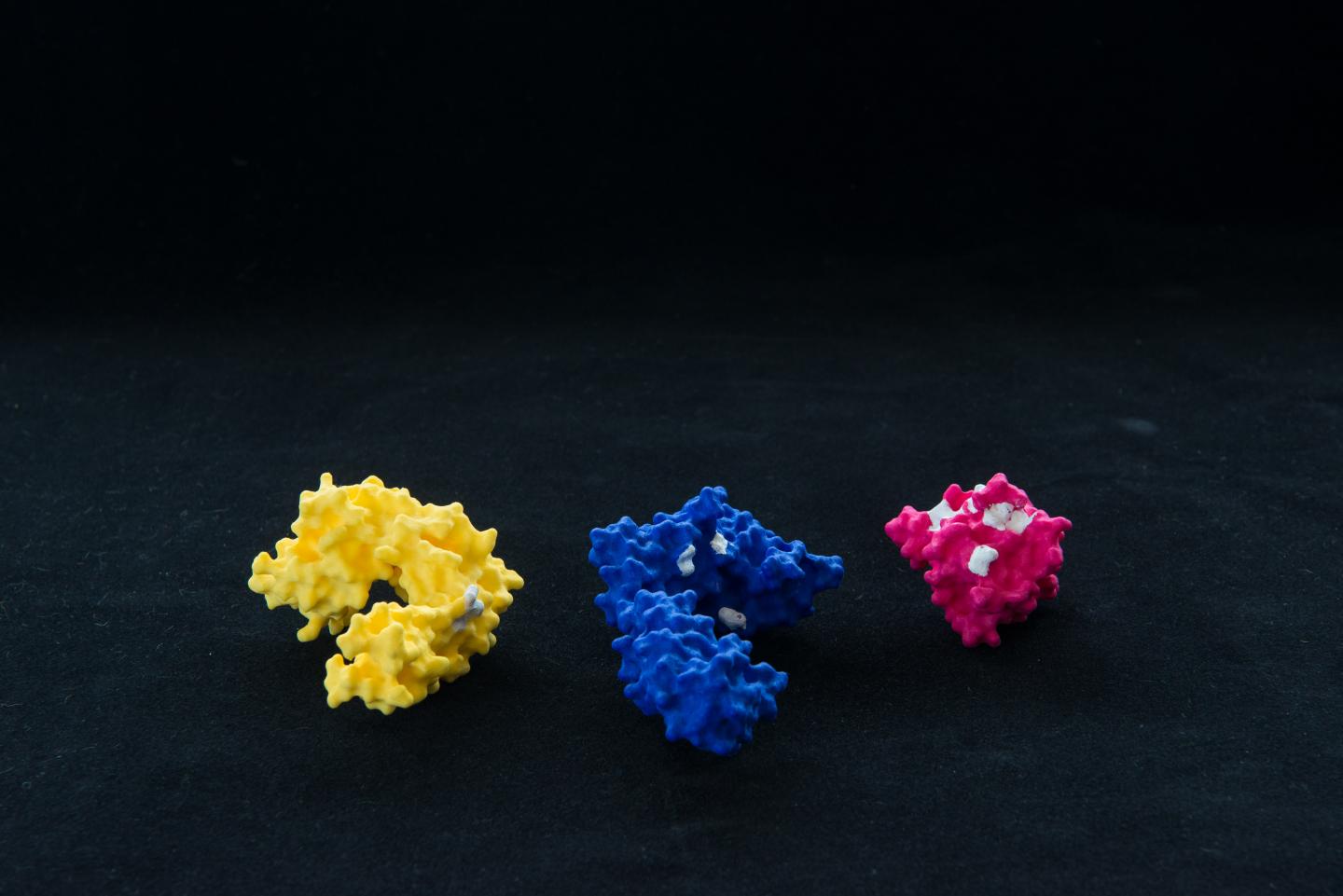 Protein Molecules