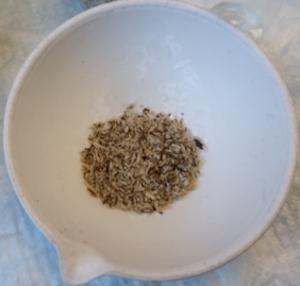 Microplastic particles after separation from soil