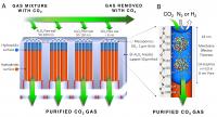 How to Create a Memzyme