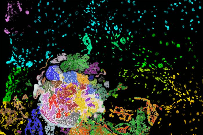 Multiscale Spatial Analysis