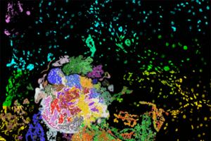 Multiscale Spatial Analysis