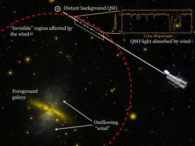 Gaseous Galaxy Halos