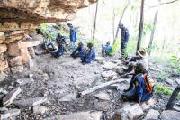 rock art survey