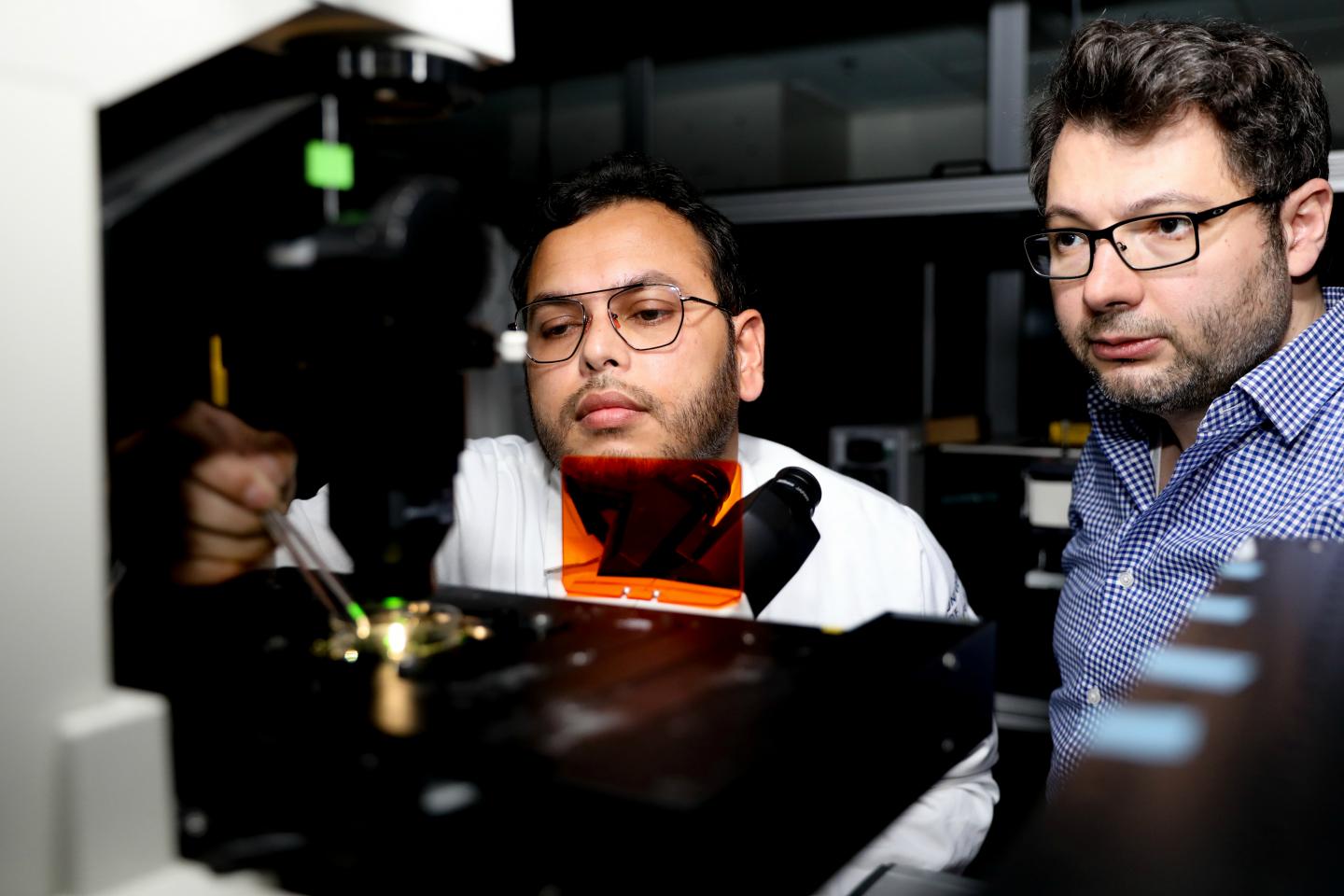 A nonfluorescent optical probe for ultrasensitive label-free detection of electrophysiological signals (5 of 5)
