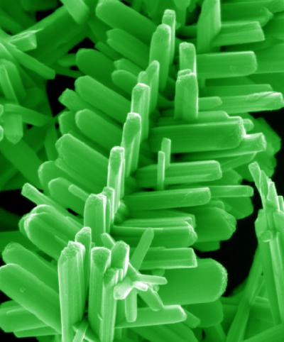 Branched Nanorods