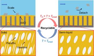 Thermal-responsive lubricant infused surface based on composite phase change materials for durable and efficient scale resistance