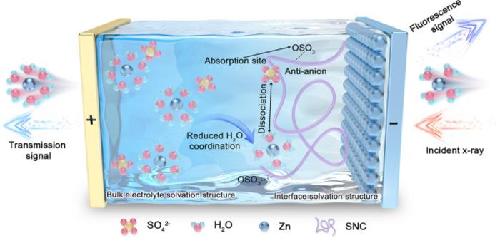 Achieving Ah‑Level Zn–MnO2 Pouch Cells via Interfacial Solvation Structure Engineering