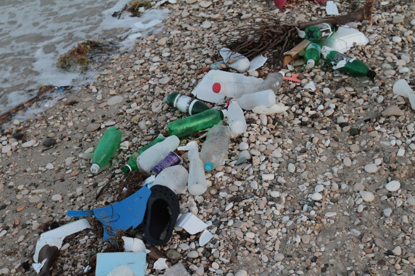 Plastic in the Oceans: Sources and Solutions (4 of 13)