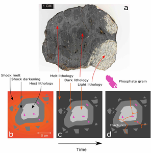 Structure of the Chelyabinsk meteorite