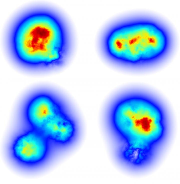 Gluon Fluctuations inside a Proton