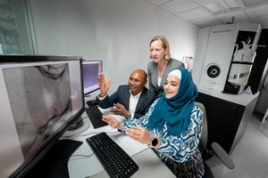 Research untangles role of stress granules in neurodegenerative disease
