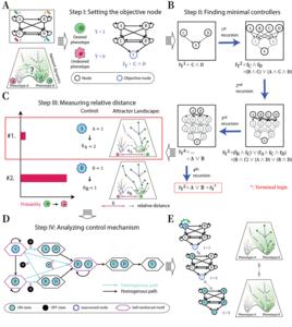 KAIST Finds a Way to Redirect Cell Fate with Just a Single Stimulus