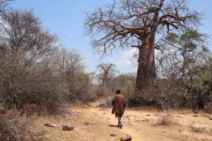 Hadza Man