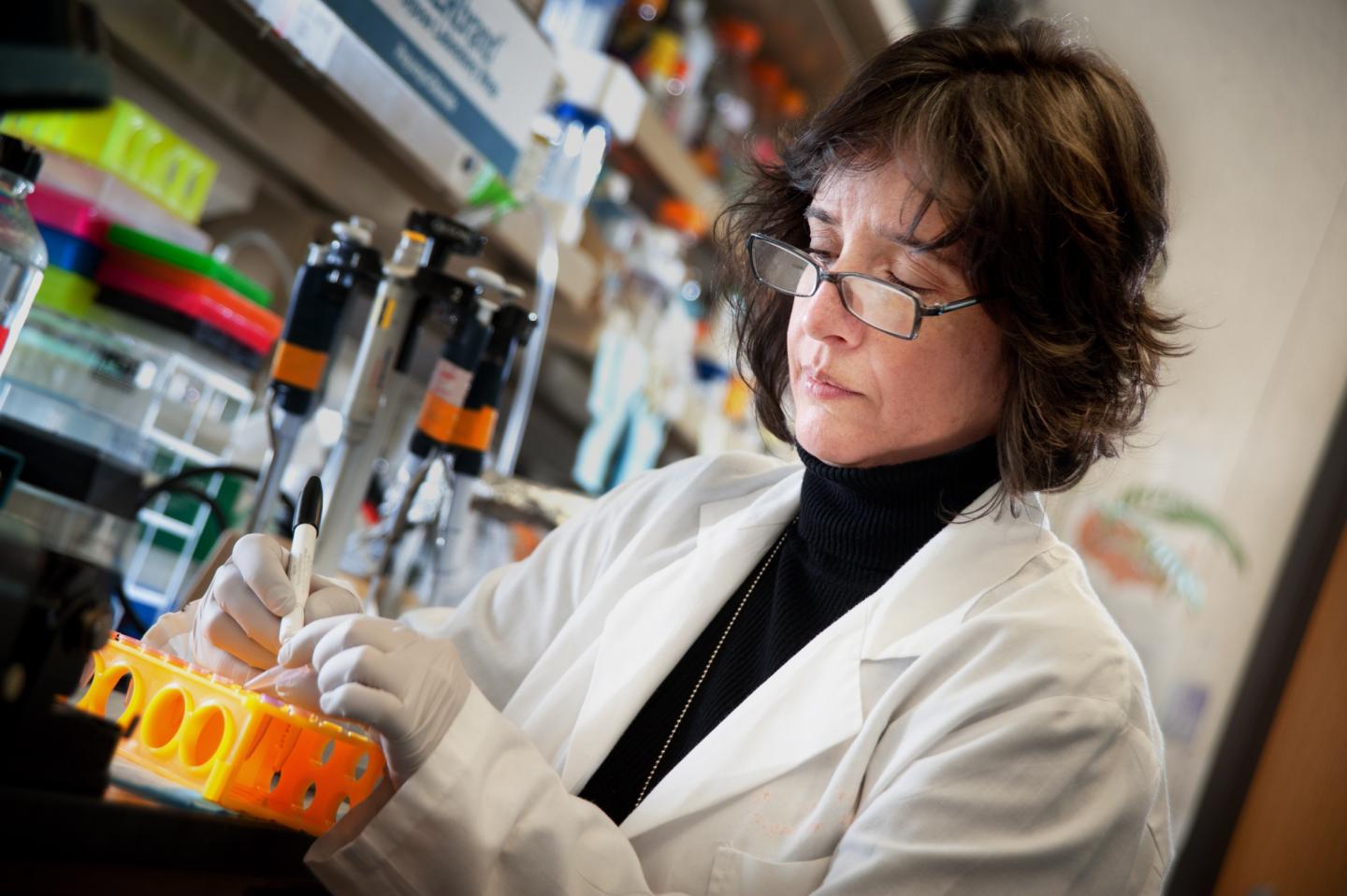 Emilia Pinto, Ph.D.