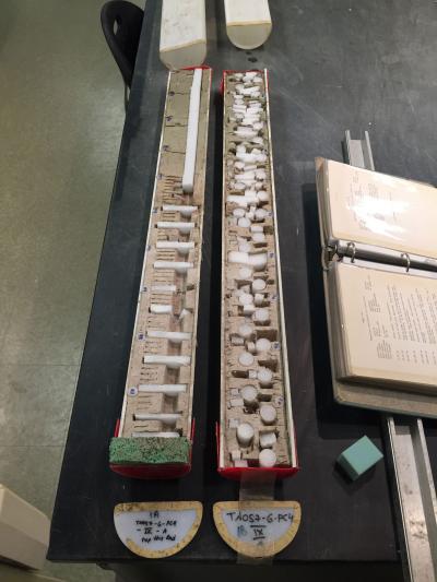 Marine Sediment Core