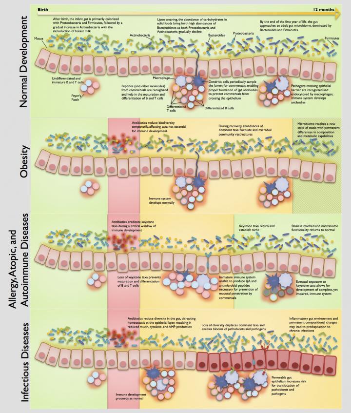 Antibiotics, Pediatric Dysbiosis, and Disease
