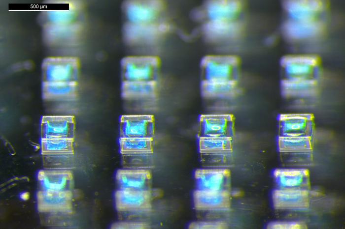 Self-boosting vaccines