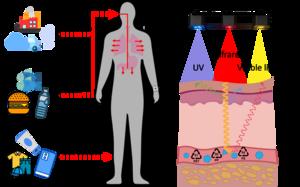 Figure: how the device works.