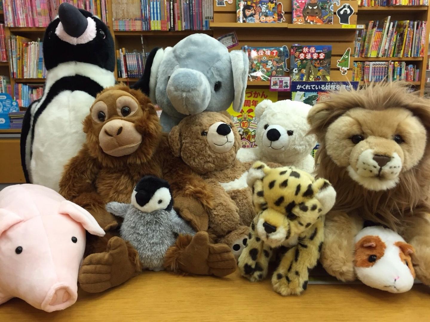 Stuffed Animals