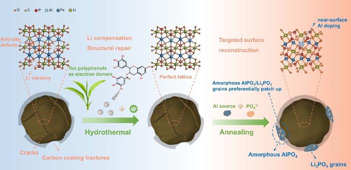 Tea Polyphenol-Powered Strategy Revives Retired LiFePO₄ Cathodes