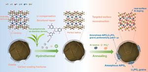 Tea Polyphenol-Powered Strategy Revives Retired LiFePO₄ Cathodes