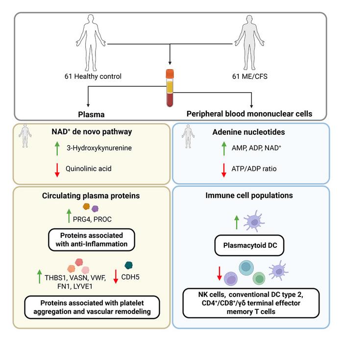 Graphical abstract: A multi-omics approach to mapping the complexity of ME/CFS