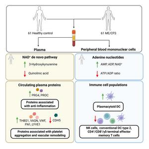 Graphical abstract: A multi-omics approach to mapping the complexity of ME/CFS