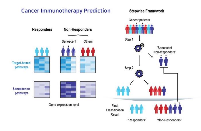 AI-Based Stepwise Prediction Framework for Immunotherapy Response: A Machine-Learning Approach for Predicting Responders and Non-Responders Based on Tumor Cell Senescence