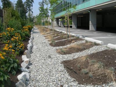 Innovative Parking Design -- North Vancouver
