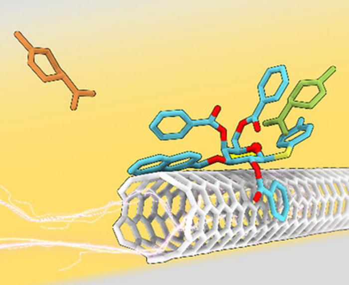 Chiral Scents, Caught by a Sugar Sensor