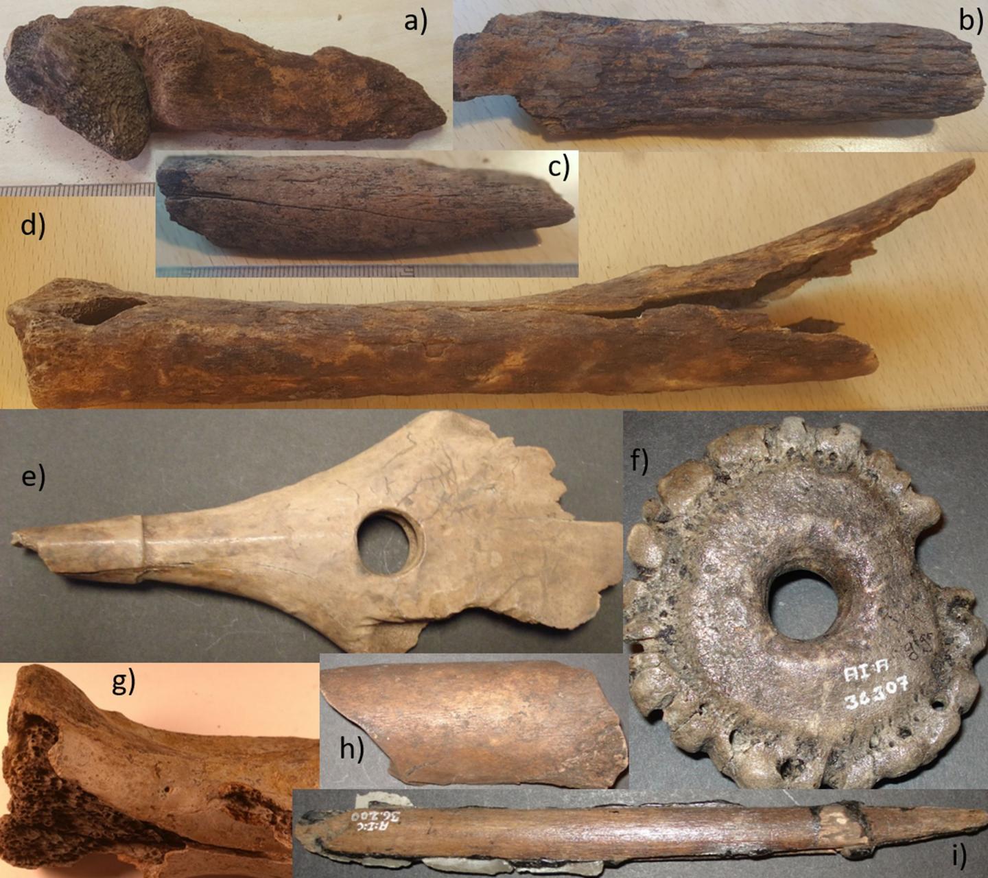 Accelerated Bone Deterioration in Last 70 Years at Famous Mesolithic Peat Bog in Peril