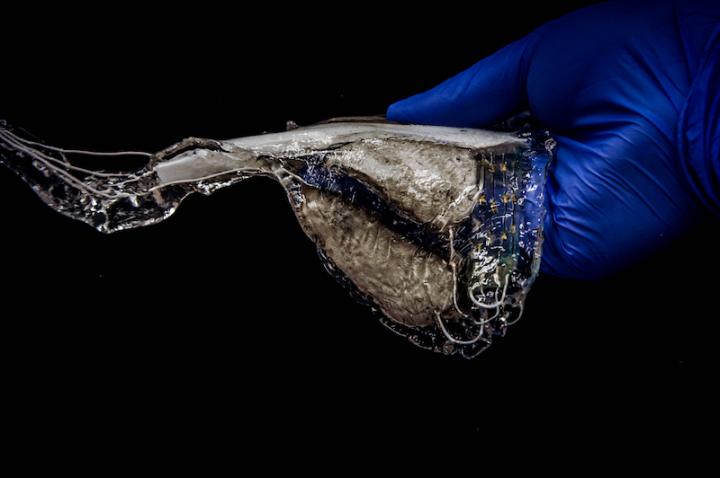 Swimming Stingray Robot Closeup