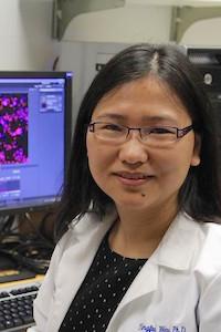 Yingfei Wang, UT Southwestern Medical Center