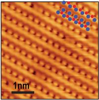 2-D Material with Topological Properties: 1T'-WTe2