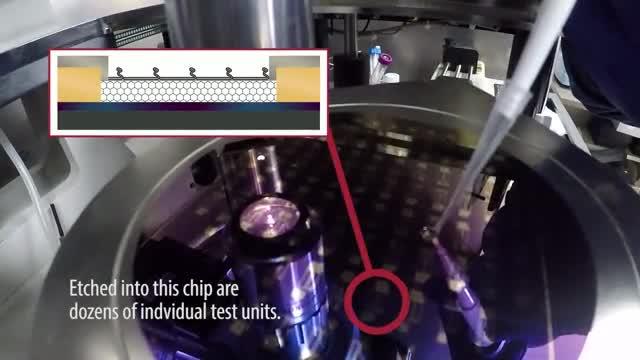 WPI's Liquid Biopsy Chip Captures Cancer Cells in a Simple Blood Test