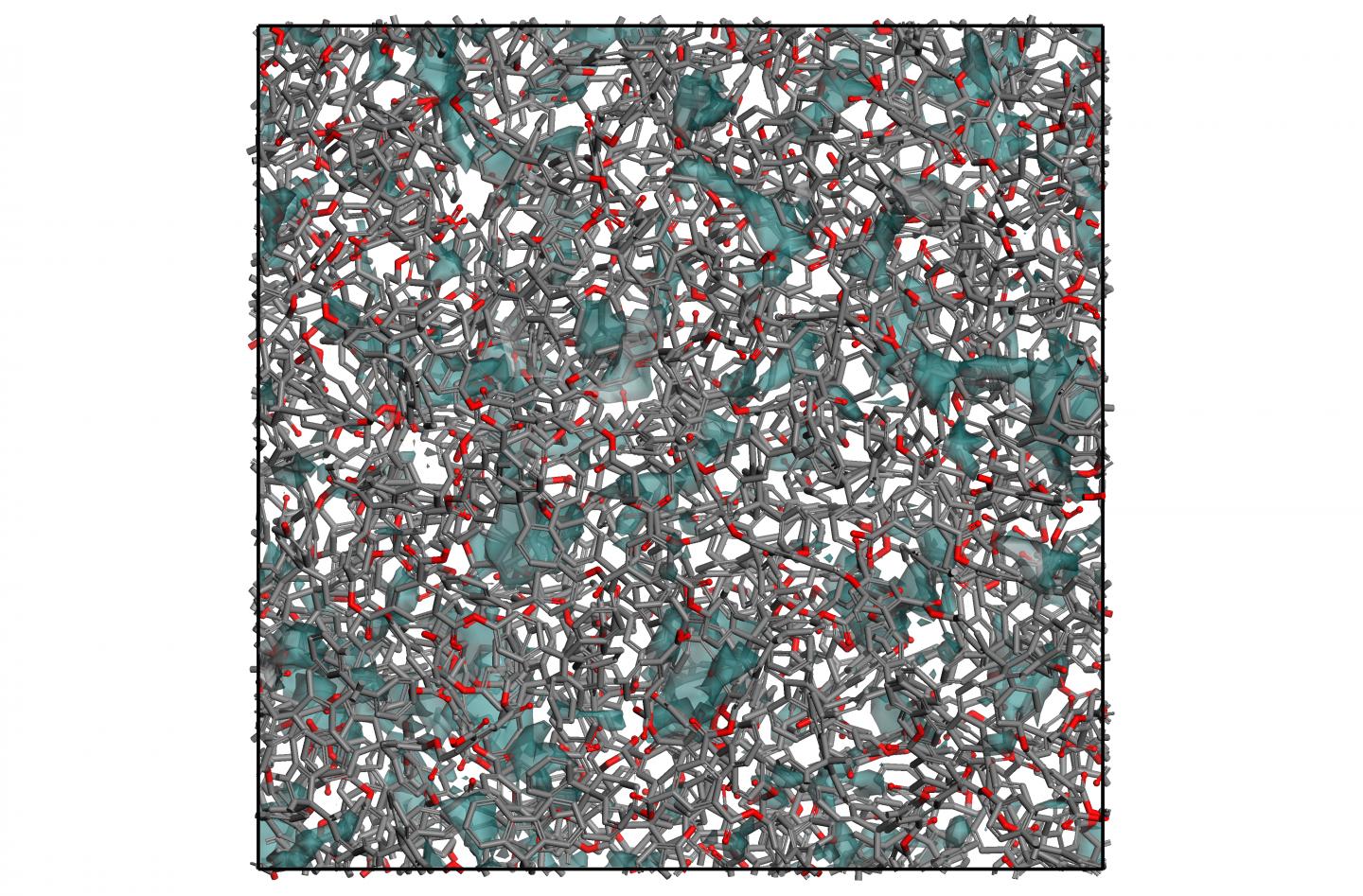 Structure of Porous Polymer with Contorted Monomers