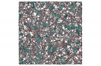 Structure of Porous Polymer with Contorted Monomers