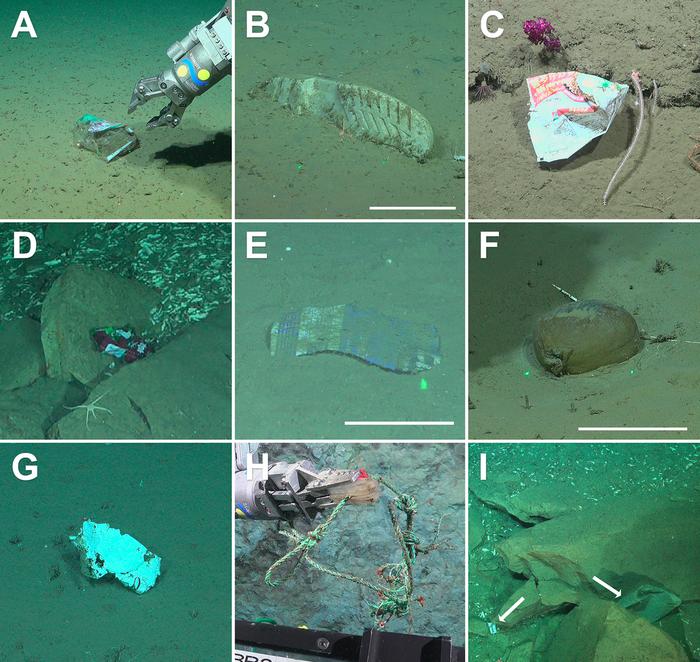 Out of sight, hidden into the deep: Marine litter in the Mar del Plata Submarine Canyon (southwestern Atlantic) revealed by ROV survey