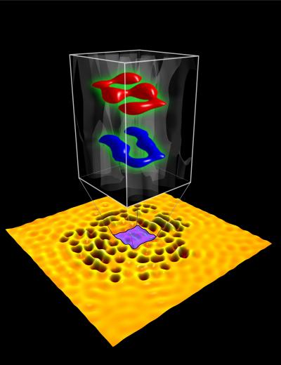 Electron Wave Hologram