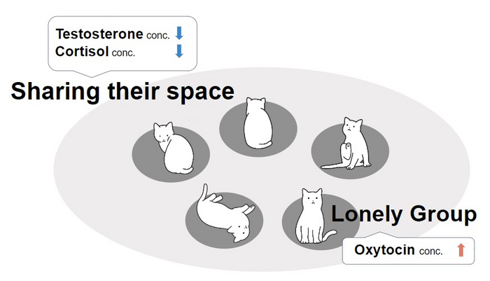 A graphic summary of the results from the study.