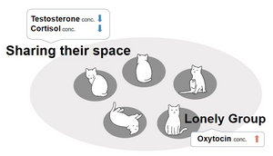 A graphic summary of the results from the study.