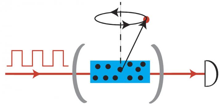 Sensor
