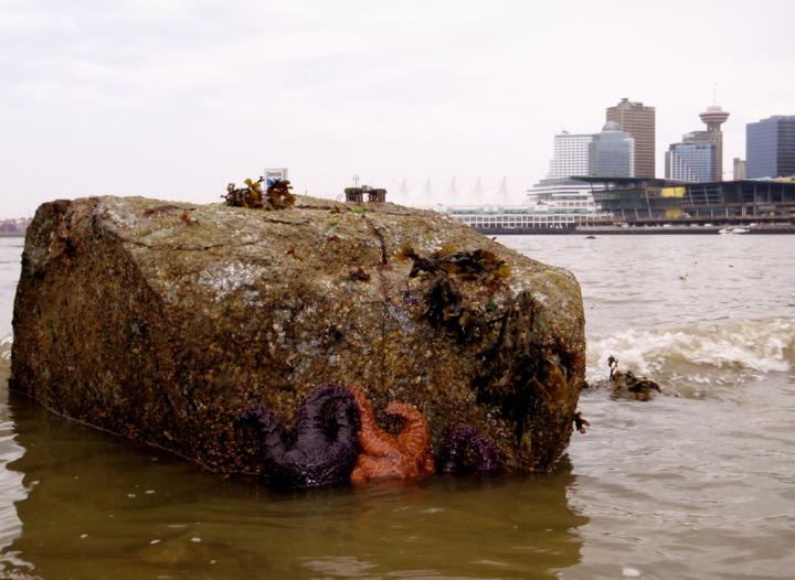 Seastars