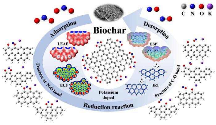 Density functional theory study on the microscopic mechanism of NO2 adsorption and reduction by potassium-doped biochar: the key role of the active sites