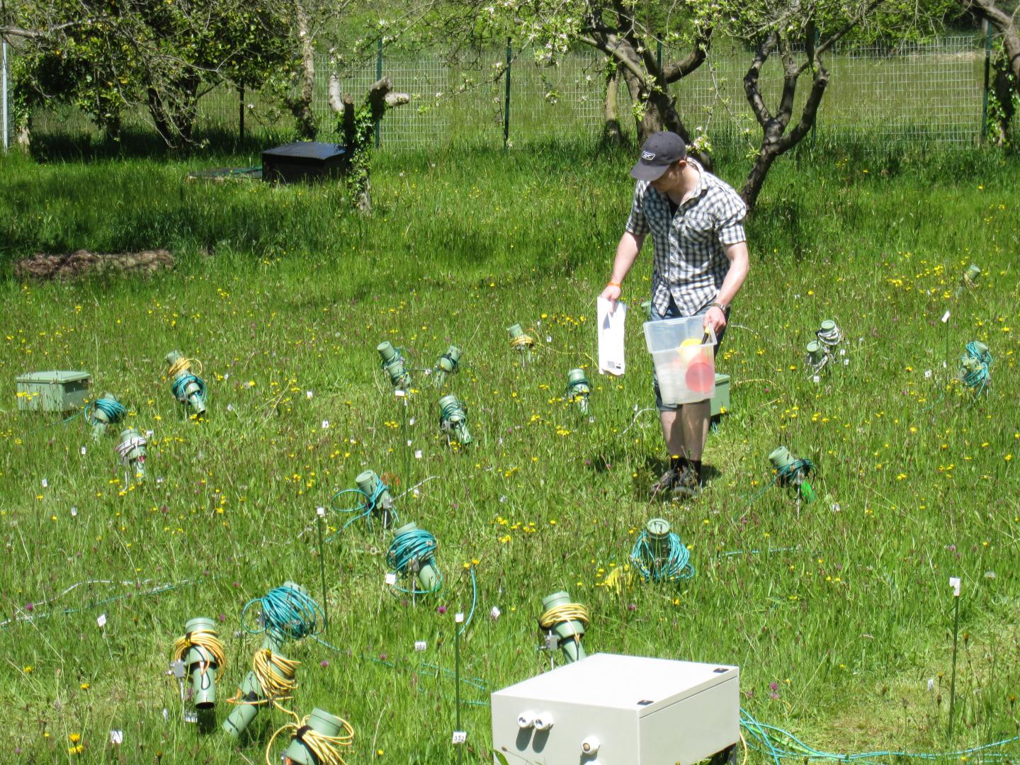 Catching Crickets for Tagging