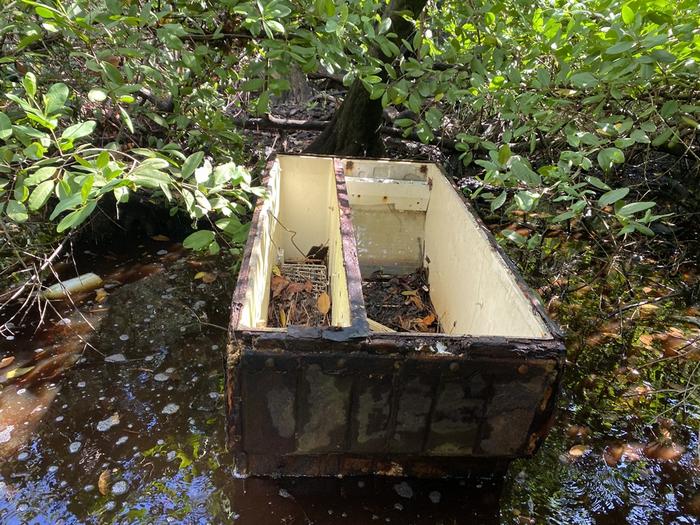 La basura invade los manglares de los países tropicales