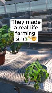 Farming Sim Video Explainer