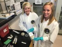 Verifying Samples