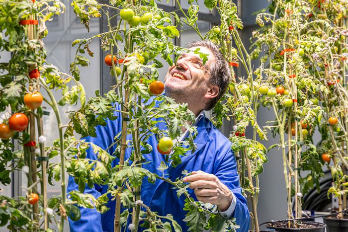 CIBSS scientist Prof. Dr. Thomas Ott.